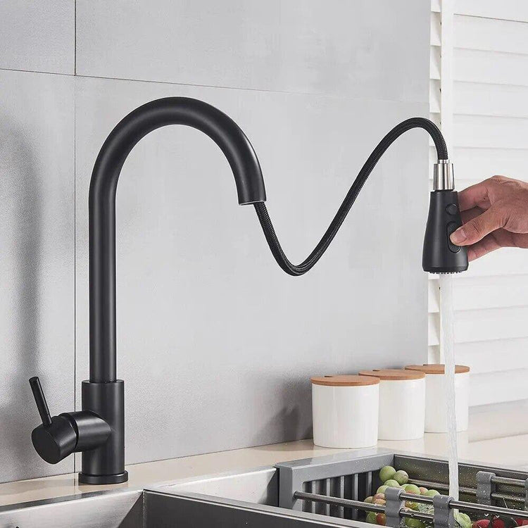 Alb3rt & Co. Kitchen Faucet Flexible Pull Out