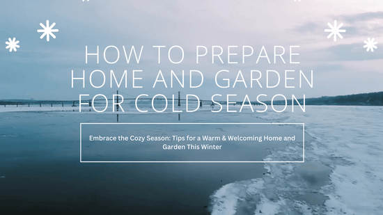 Embrace the Cozy Season: Tips for a Warm & Welcoming Home and Garden This Winter