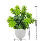 Artificial Bonsai Green Fake Plant Eucalyptus - Alb3rt & Co.