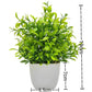 Artificial Bonsai Green Fake Plant Eucalyptus - Alb3rt & Co.