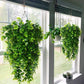 Alb3rt & Co. Eucalyptus plant-home decoration artificial