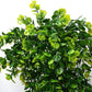 Alb3rt & Co. Eucalyptus plant-home decoration artificial