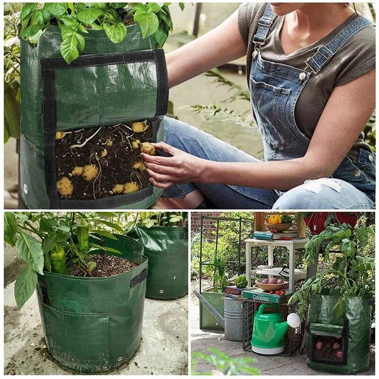 Alb3rt & Co. 1PC Garden Potato Grow Bag PE Fabrics Gardening Thicken Pot Vegetables Planter Tub with Handles and Access Flap