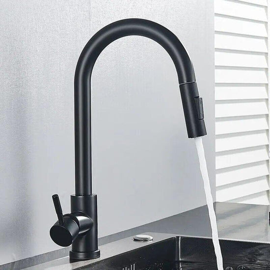 Alb3rt & Co. Kitchen Faucet Flexible Pull Out