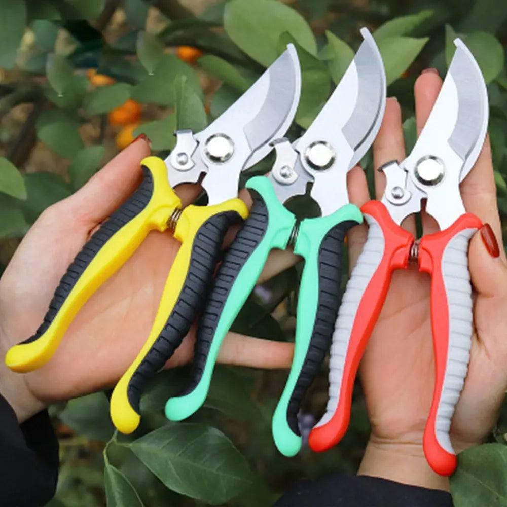 Pruner Garden Scissors Professional Sharp Bypass Pruning - Alb3rt & Co.