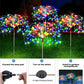 Solar Firework Fairy Lights 60 LED Outdoor Garden Decoration 8 Flashing Modes Lawn Pathway Lights Patio Party - Alb3rt & Co.