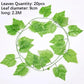 Alb3rt & Co. Wall Hanging Rattan Leaves Branches Outdoor Garden Home Decoration