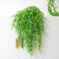 Alb3rt & Co. Wall Hanging Rattan Leaves Branches Outdoor Garden Home Decoration